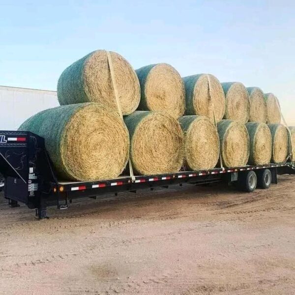 Fully stocked Alfalfa Bales - Image 2